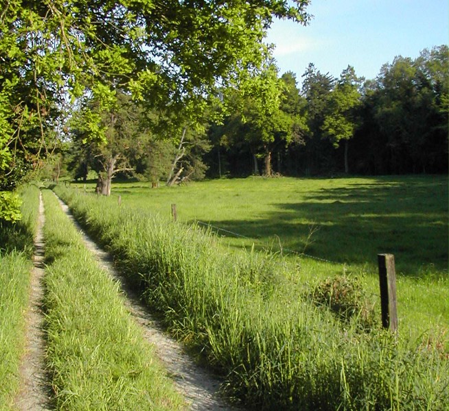 Randonnée pédestre 'Beau Soleil'