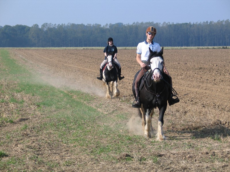 Randonnée équestre 'Sur la piste des Comtes d'Evreux'