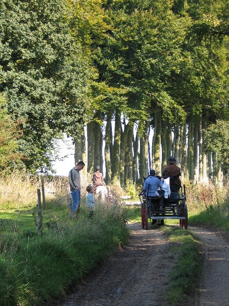 Randonnée équestre 'Sur les traces de François 1er'