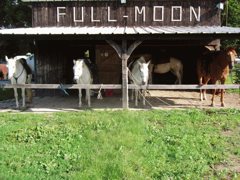 Centre Equestre 'Full moon'