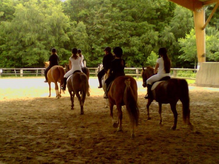 Centre Equestre 'Poney pour tous'